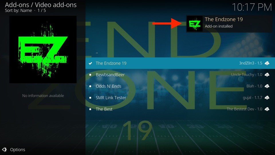 The Endzone 19 Add-on installed