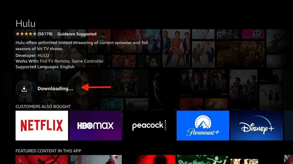 downloading hulu app