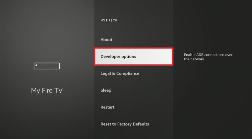 click on Developer options