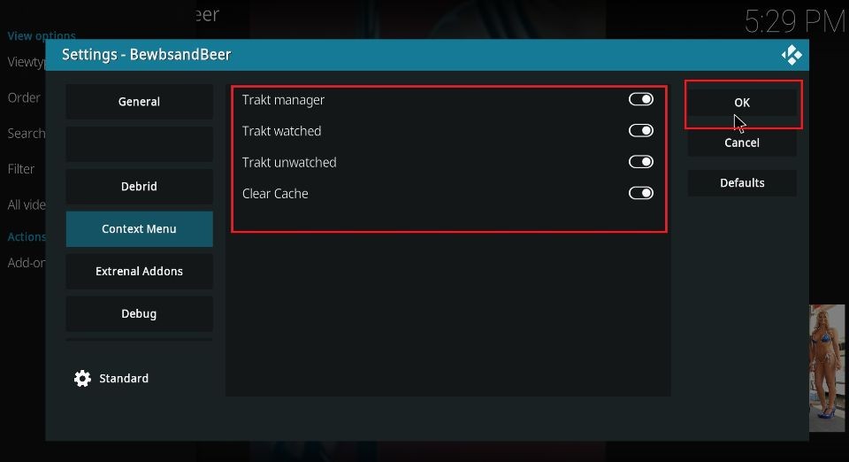 how to install bewbsandbeer kodi addon