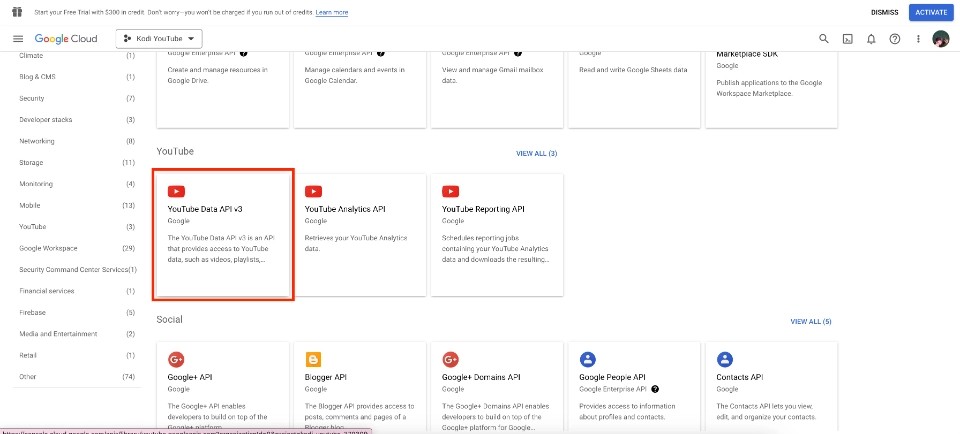 select the YouTube Data API v3 tab