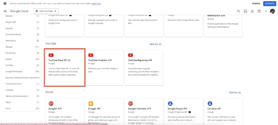 select the YouTube Data API v3 tab