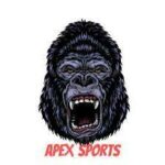 kodi apex sports addon