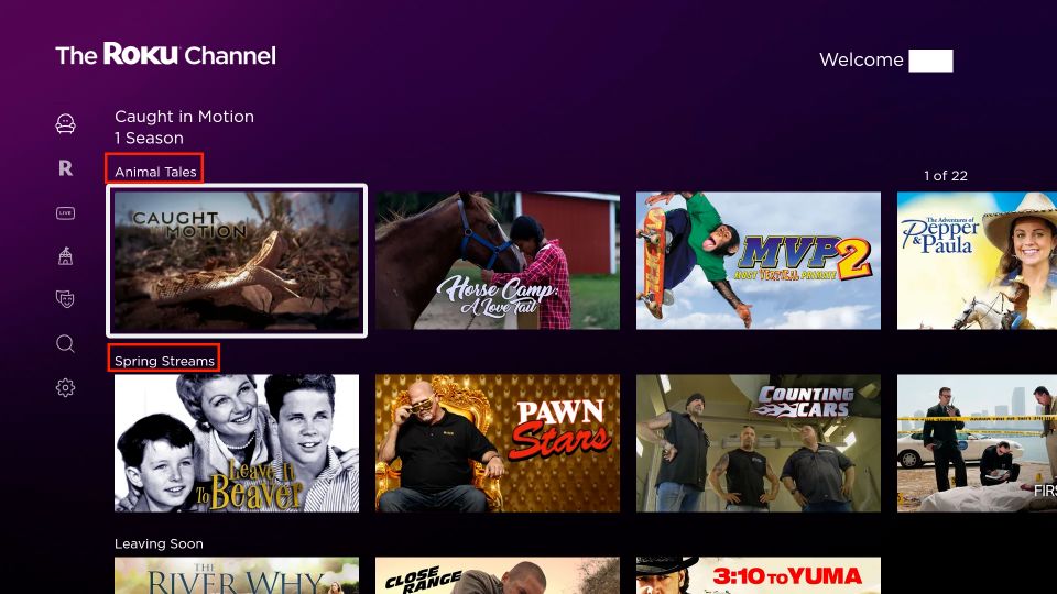 roku channel on firestick