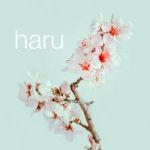 Haru